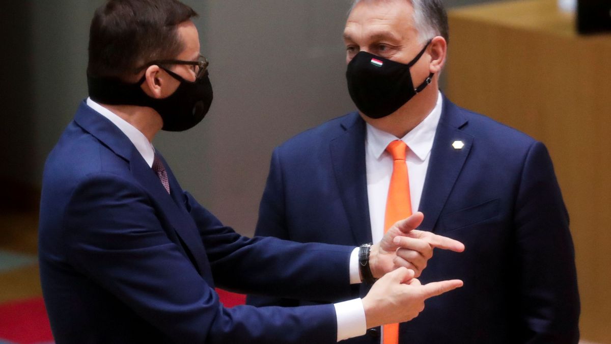 Esta es la 'joya' de Orbán para reemplazar al eurodiputado sancionado por una orgía gay  
