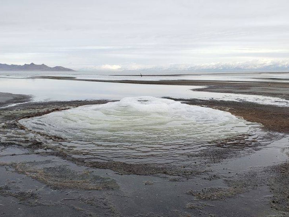 Foto: Un lago salado de Utah puede tener la respuesta a si hay vida en Marte. (Servicio Geológico de Utah)
