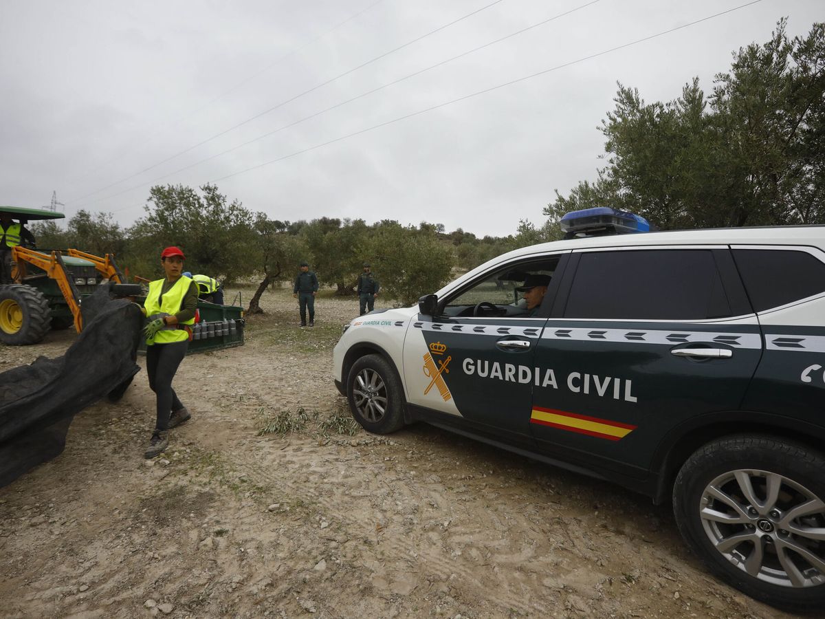 Foto: Vista de una operación de la Guardia Civil. (EFE/Salas)