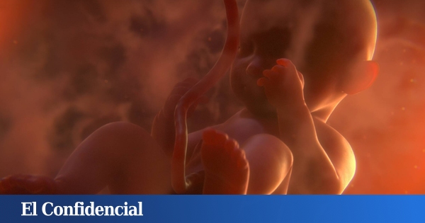 www.elconfidencial.com