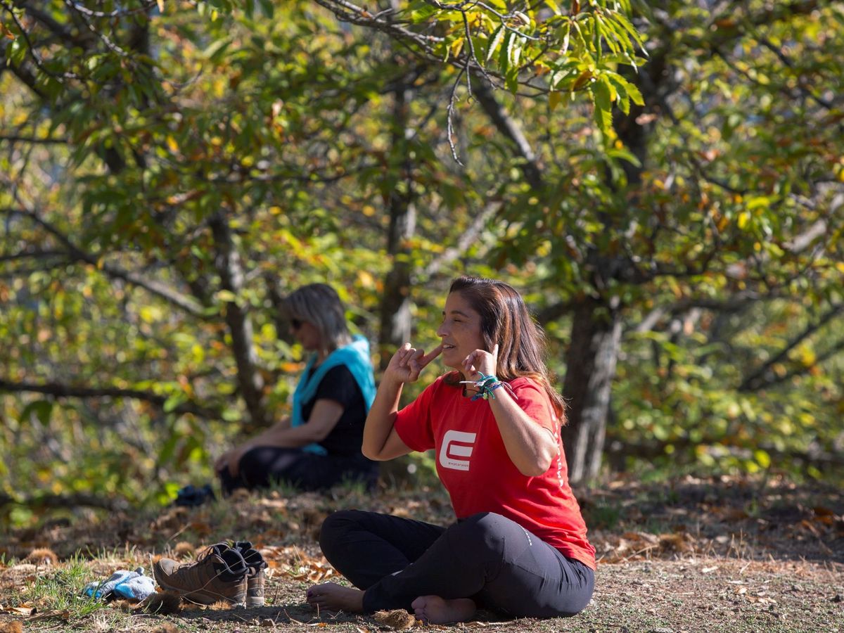Foto: Un grupo de personas practica meditación en un bosque de castaños. (EFE/Álvaro Cabrera)