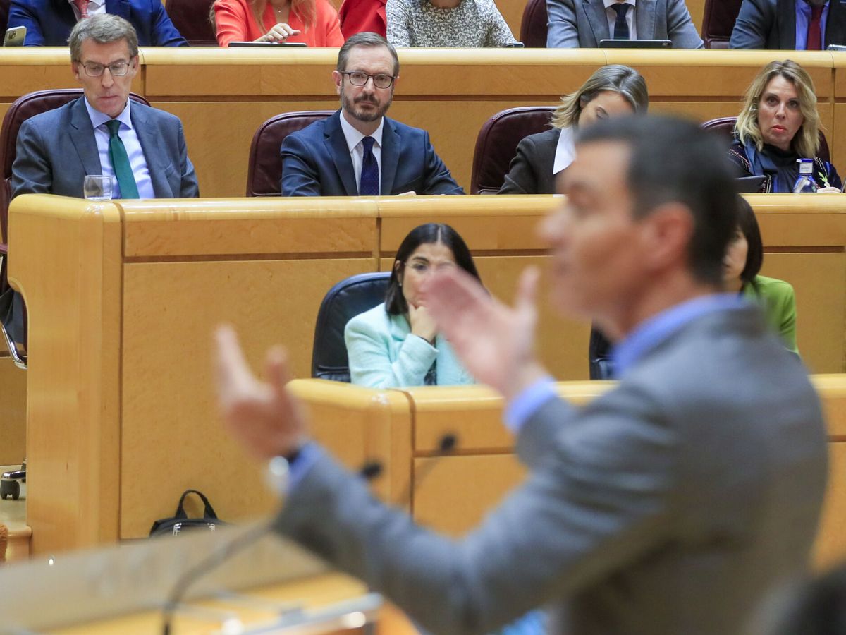 Foto: Feijóo observa a Sánchez en el Senado. (EFE/Fernando Alvarado)