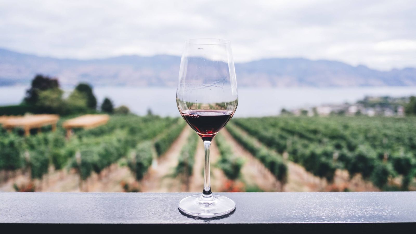 Foto: El vino también se puede disfrutar en verano.