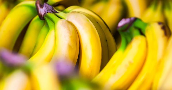 Foto: Los plátanos pueden ser grandes aliados en el esfuerzo por adelgazar