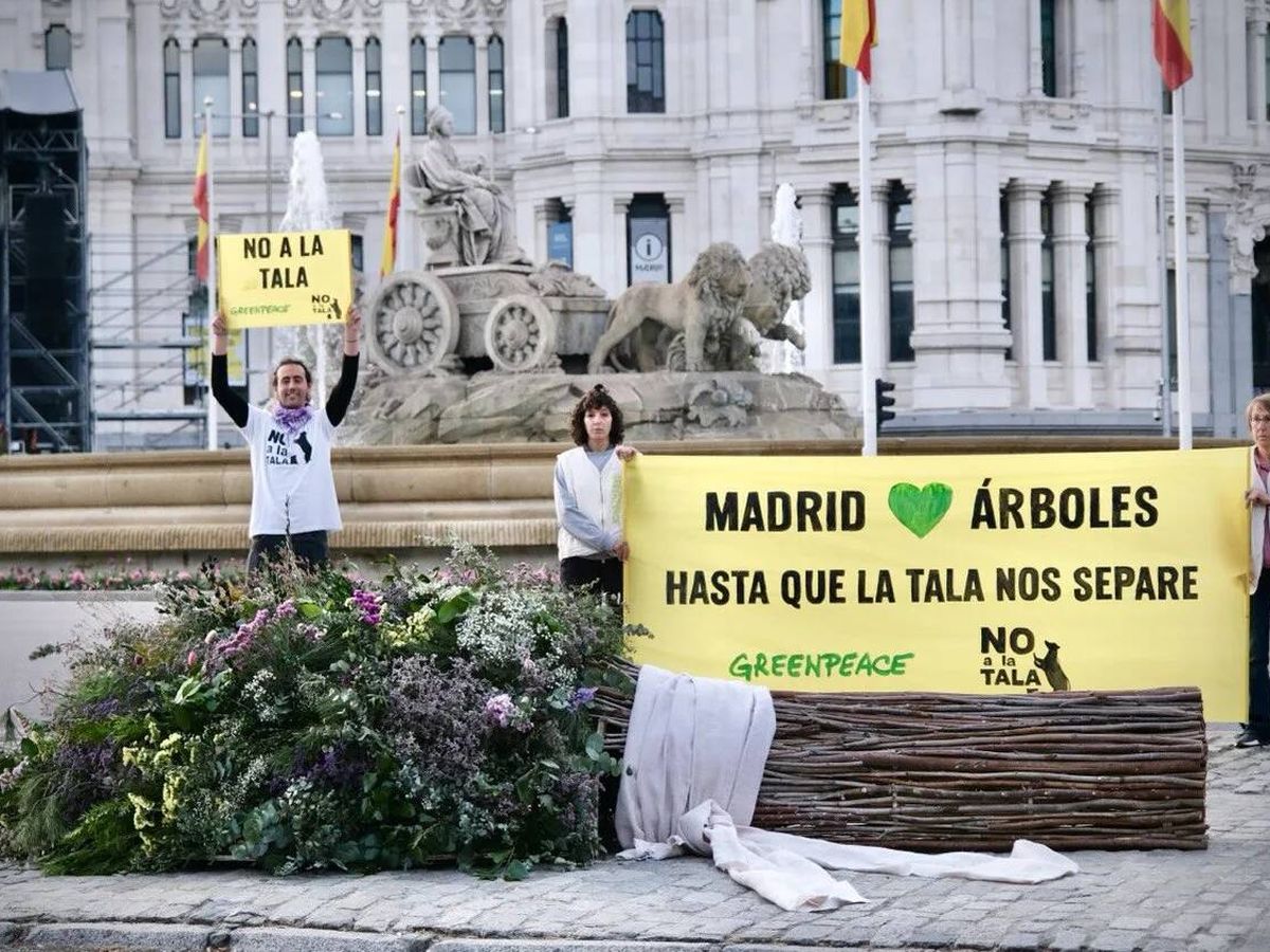 Foto: Greenpeace protesta frente al Ayuntamiento de Madrid. (Greenpeace)