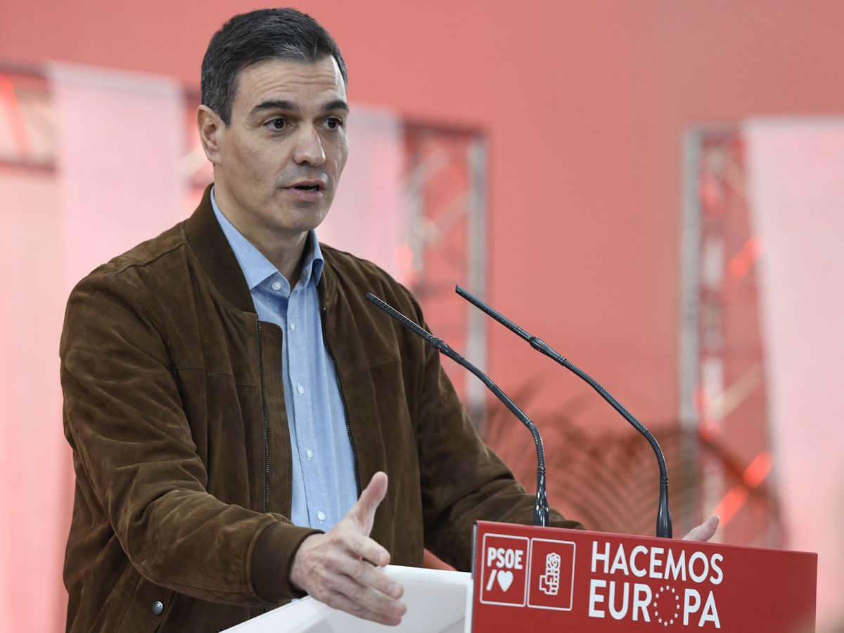 Foto: El presidente del Gobierno, Pedro Sánchez. (EFE/Víctor Lerena)