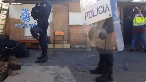 17.500 plantas de marihuana y 44 arrestos: golpe policial al narco en la Cañada Real