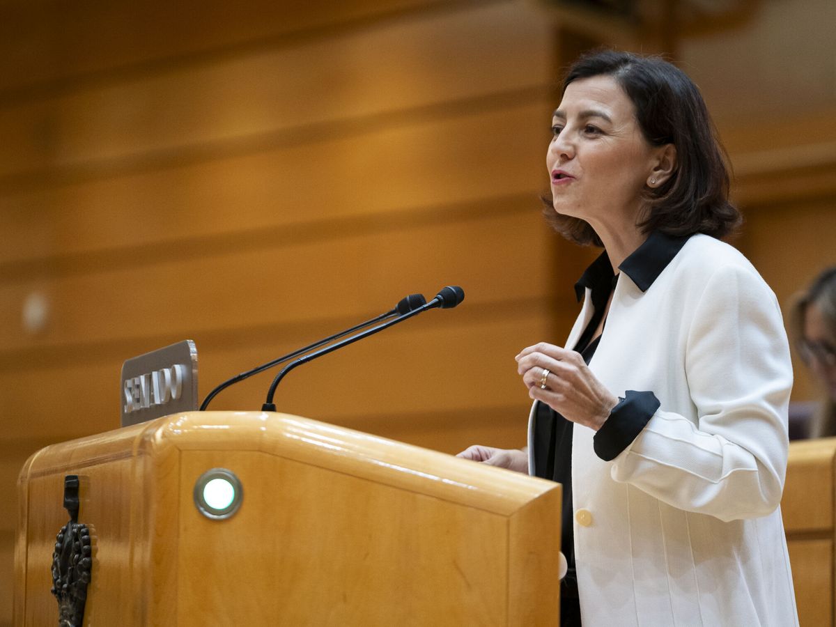 Foto: La senadora del PSOE Eva María Granados interviene durante una sesión plenaria. (EP/Pérez Meca)