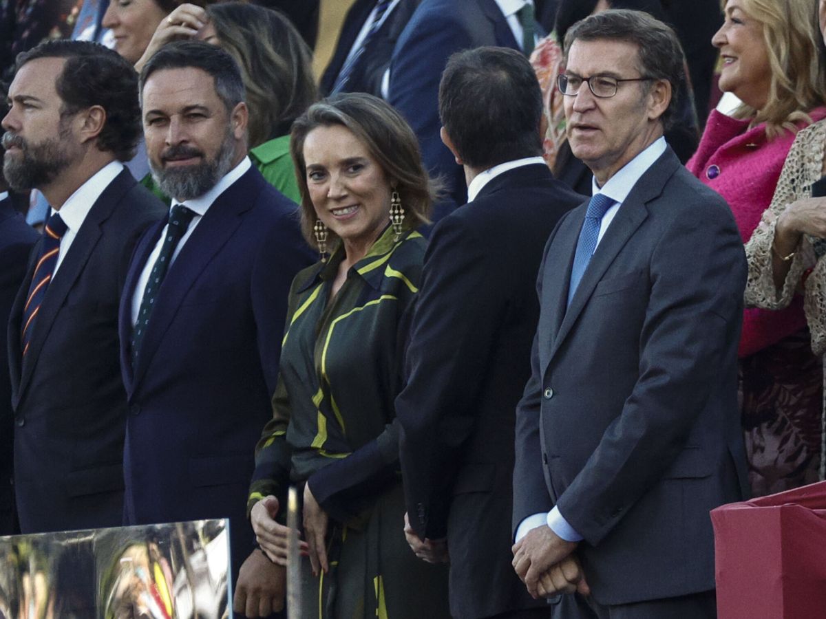 Foto: El líder del PP, Alberto Núñez Feijóo (d); la secretaria general del PP, Cuca Gamarra (c); y el presidente de Vox, Santiago Abascal (i). EFE