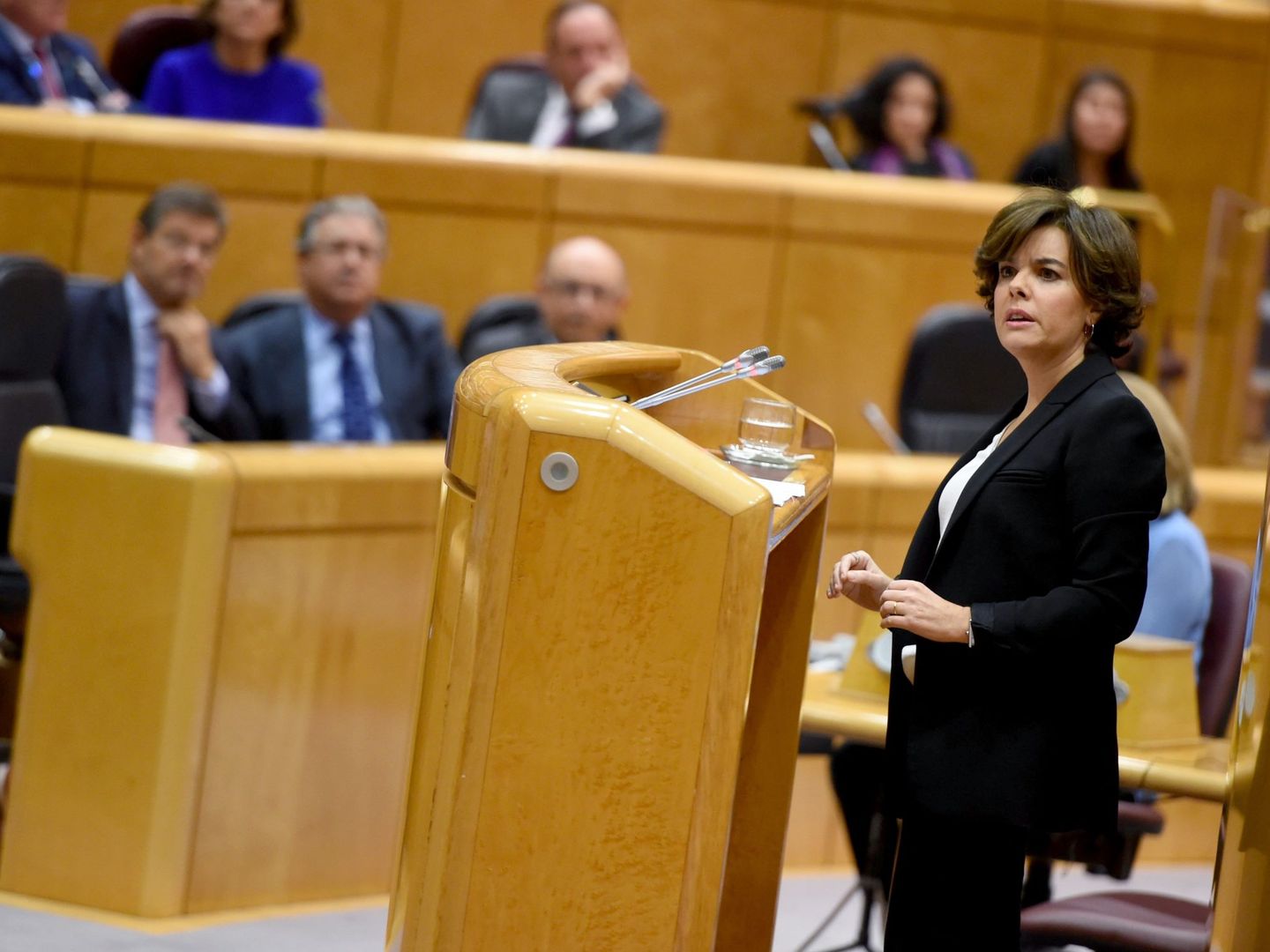 La vicepresidenta del Gobierno, Soraya Sáenz de Santamaría, en el Senado. (EFE)