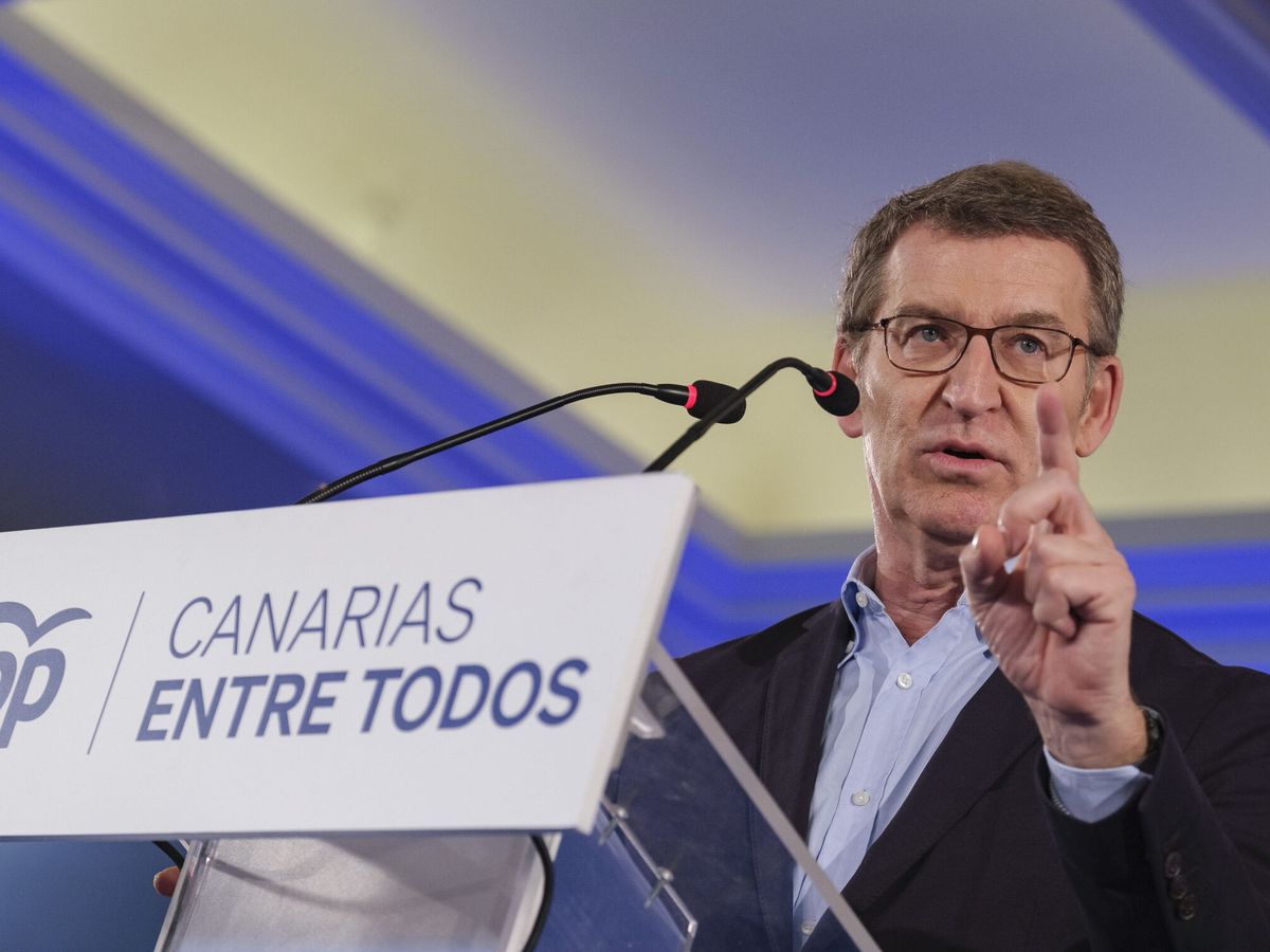 Foto: El presidente del PP, Alberto Núñez Feijóo. (EFE/Ángel Medina)