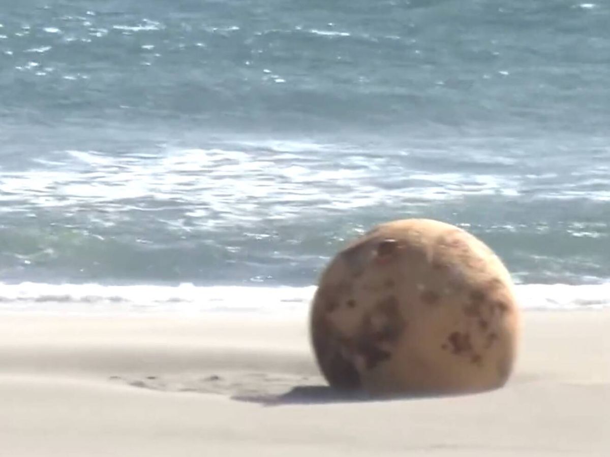 Foto: La "misteriosa" bola de metal que han localizado en una playa en Japón (Twitter/@NHKWORLD_News )