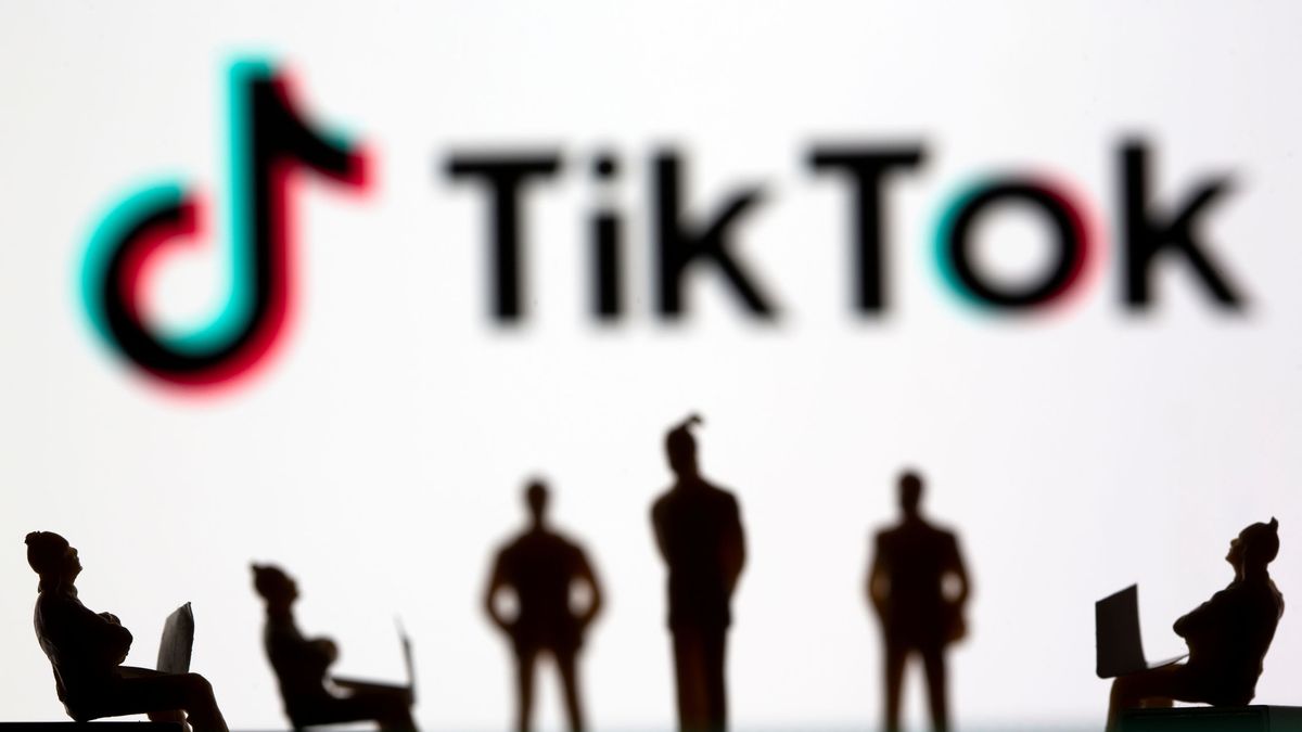 Son pocos, pero están ganando terreno: los abogados que conquistan TikTok 