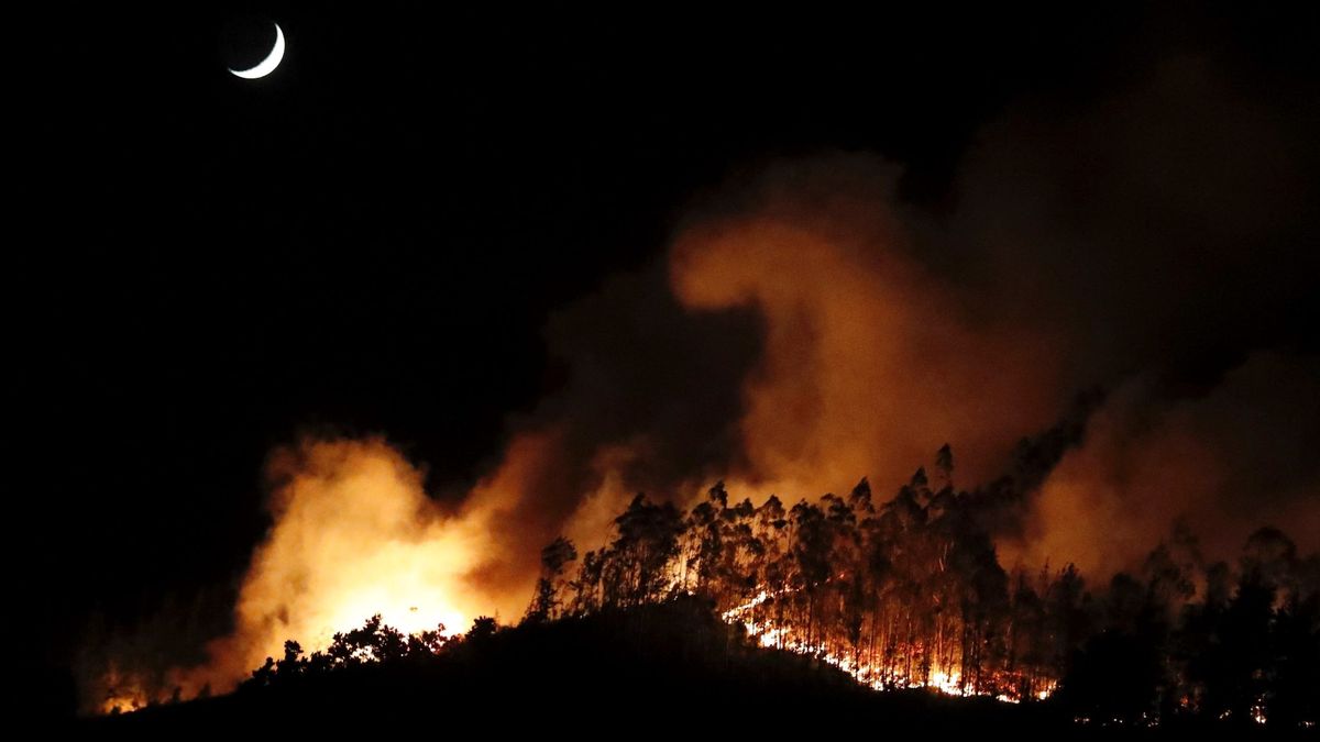 Asturias, en situación de emergencia por la proliferación de incendios