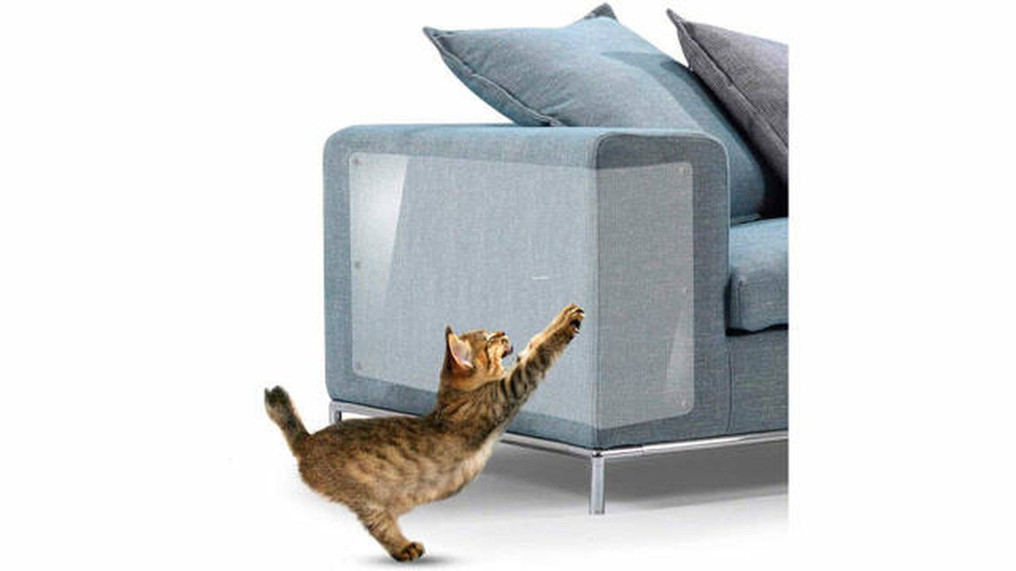 Por qué los gatos eligen el sofá para afilarse las uñas y cómo proteger la  tapicería con esta funda que es al mismo tiempo rascador