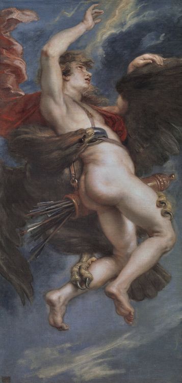 'El rapto de Ganimedes', P. P. Rubens (Museo Nacional del Prado)