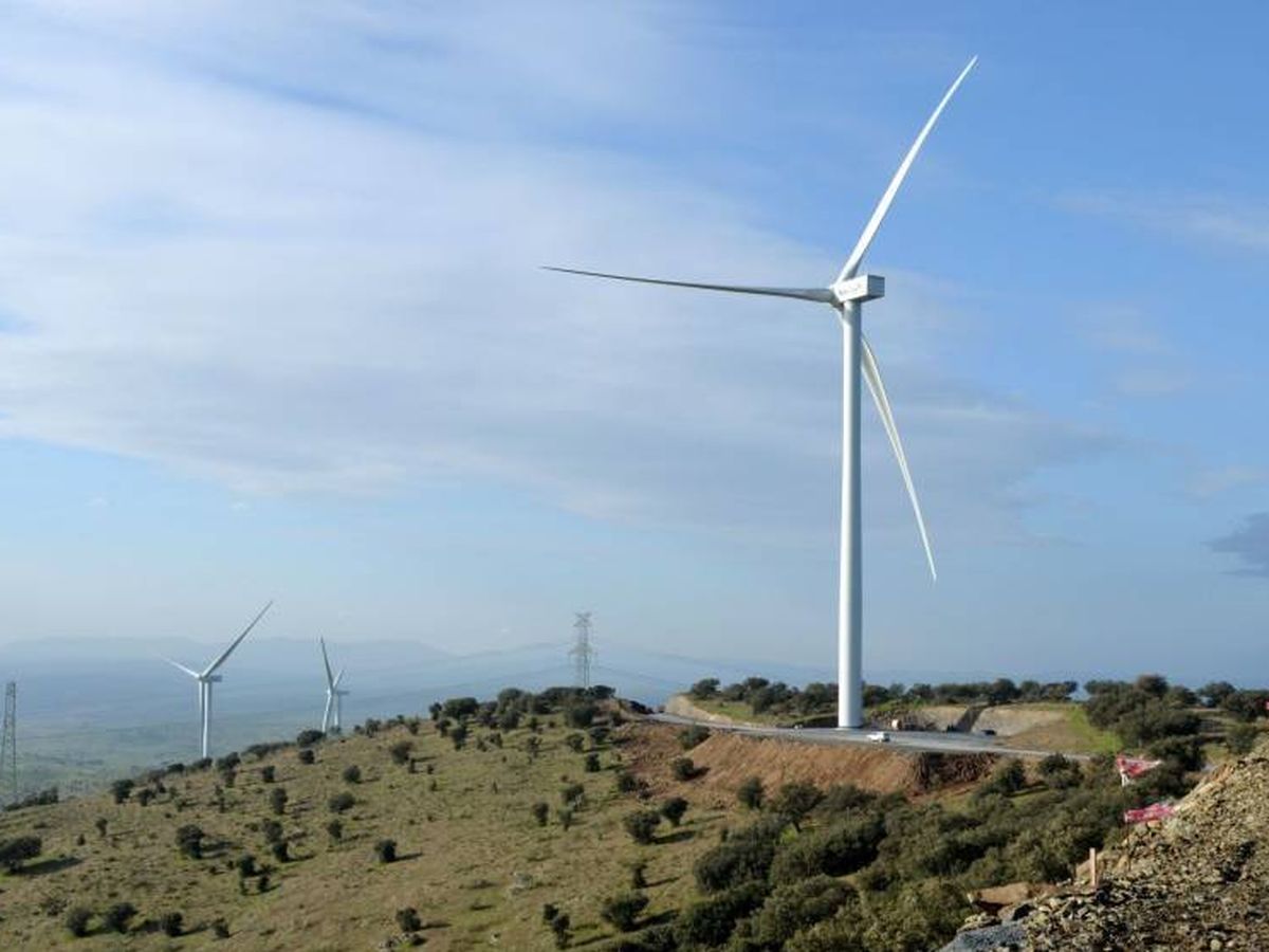 Foto: Vista de un parque eólico de Aldesa. (EFE)