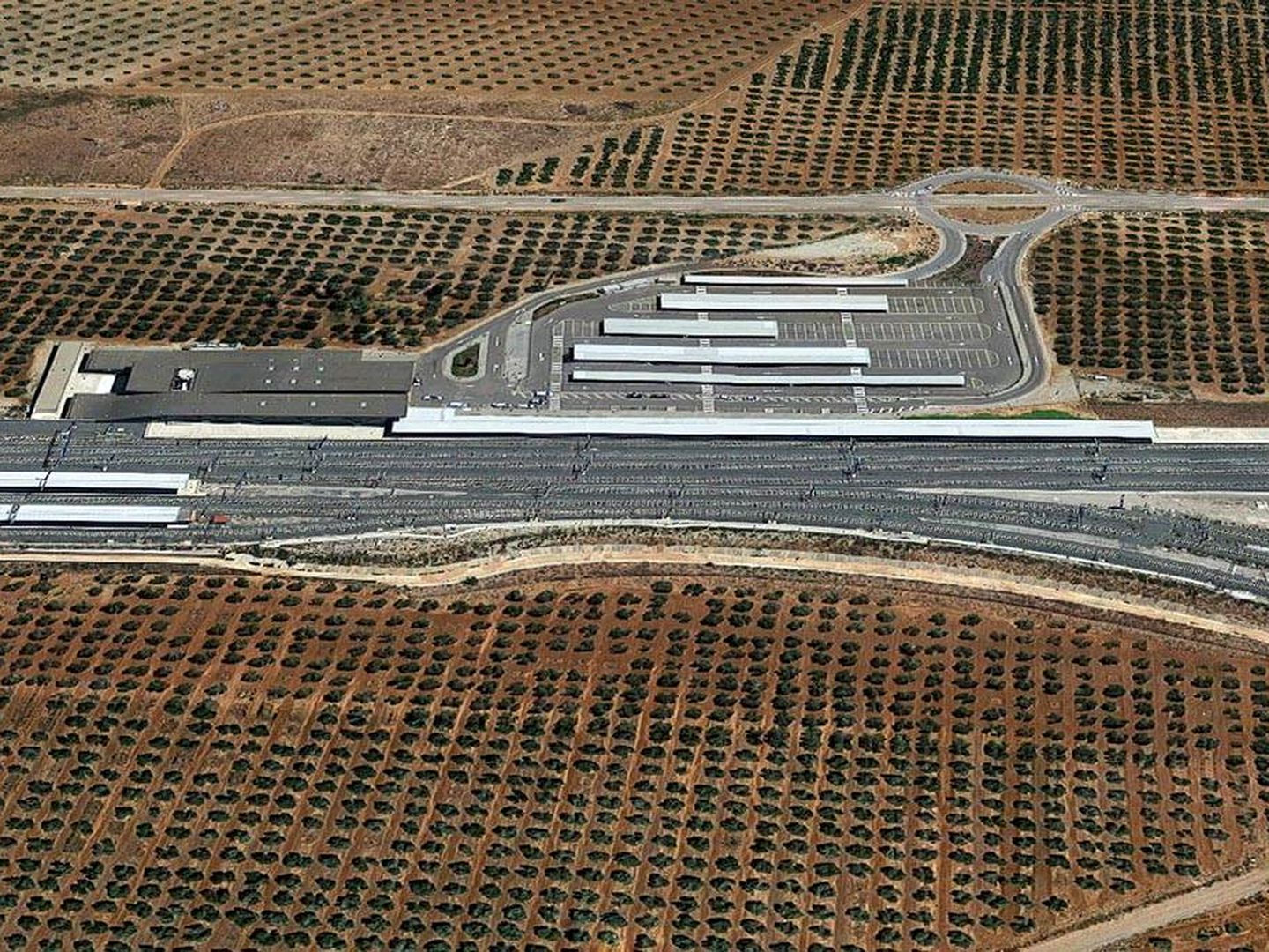 La vía cruza un olivar a su paso por Antequera (María José Esteso Poves, Diagonal)