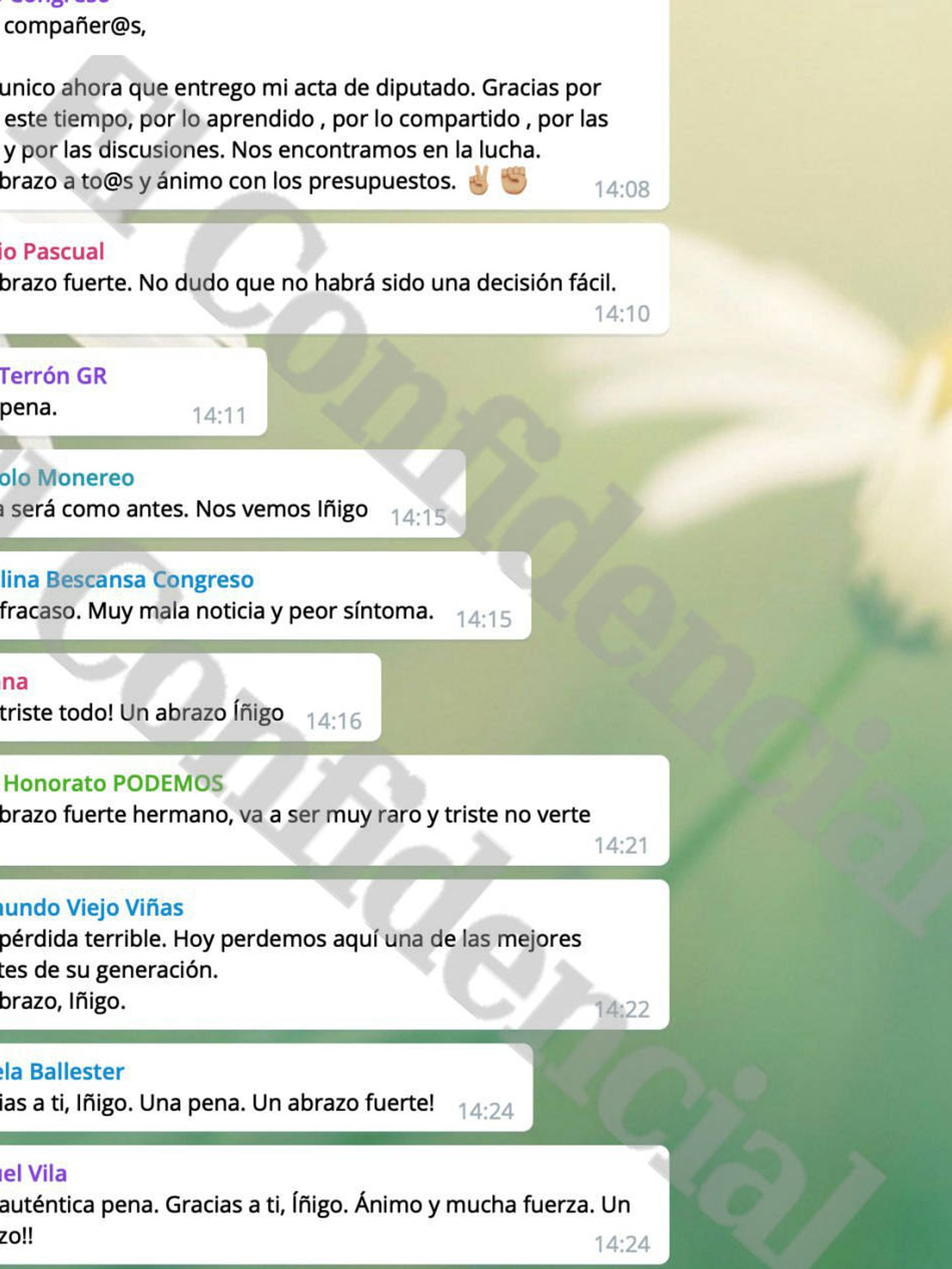 El chat de Telegram del Congreso.