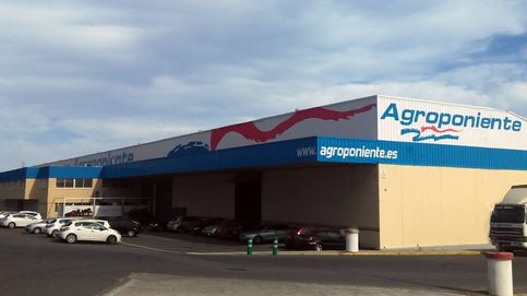 Abac Capital se come la segunda mayor alhóndiga andaluza: Agroponiente