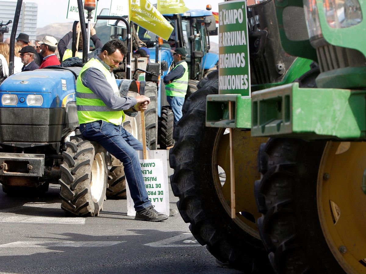 Foto: Agricultores de Alicante, este martes, en protesta por los bajos precios del producto. (EFE)