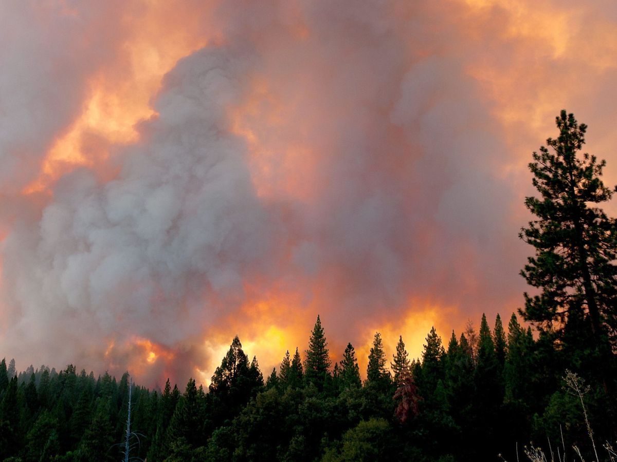 Foto: Un incendio fuera del Parque Nacional de Yosemite, en California, en una imagen de archivo. (EFE)