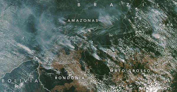Foto: Las imágenes tomadas desde el espacio muestran el humo que sale de la Amazonía. (Foto: NASA)