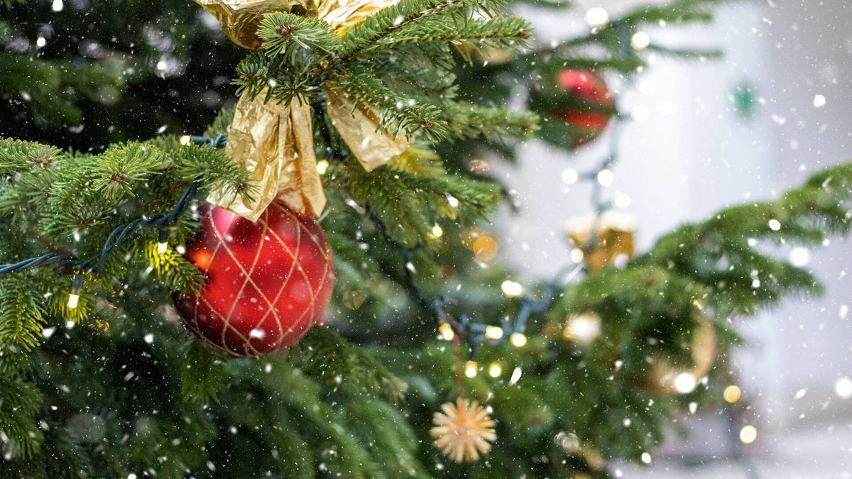 El árbol de Navidad parlante que maravilla y aterroriza al mismo tiempo a los canadienses