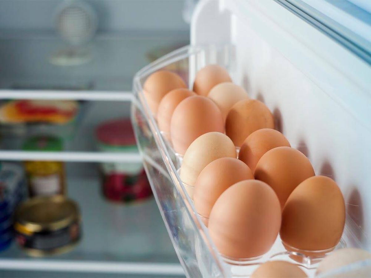 Foto: ¿Por qué no se deben guardar los huevos en la puerta de la nevera? (iStock)