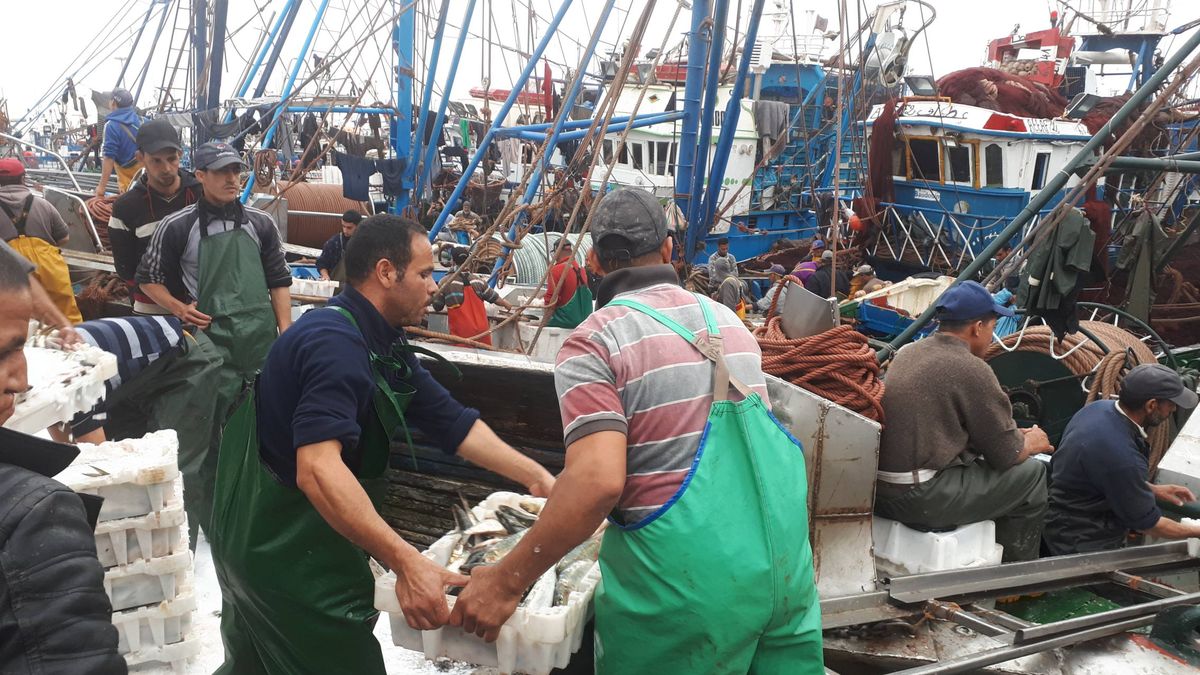Marruecos tensa la cuerda con Europa por el pacto pesquero (y el control del terrorismo)