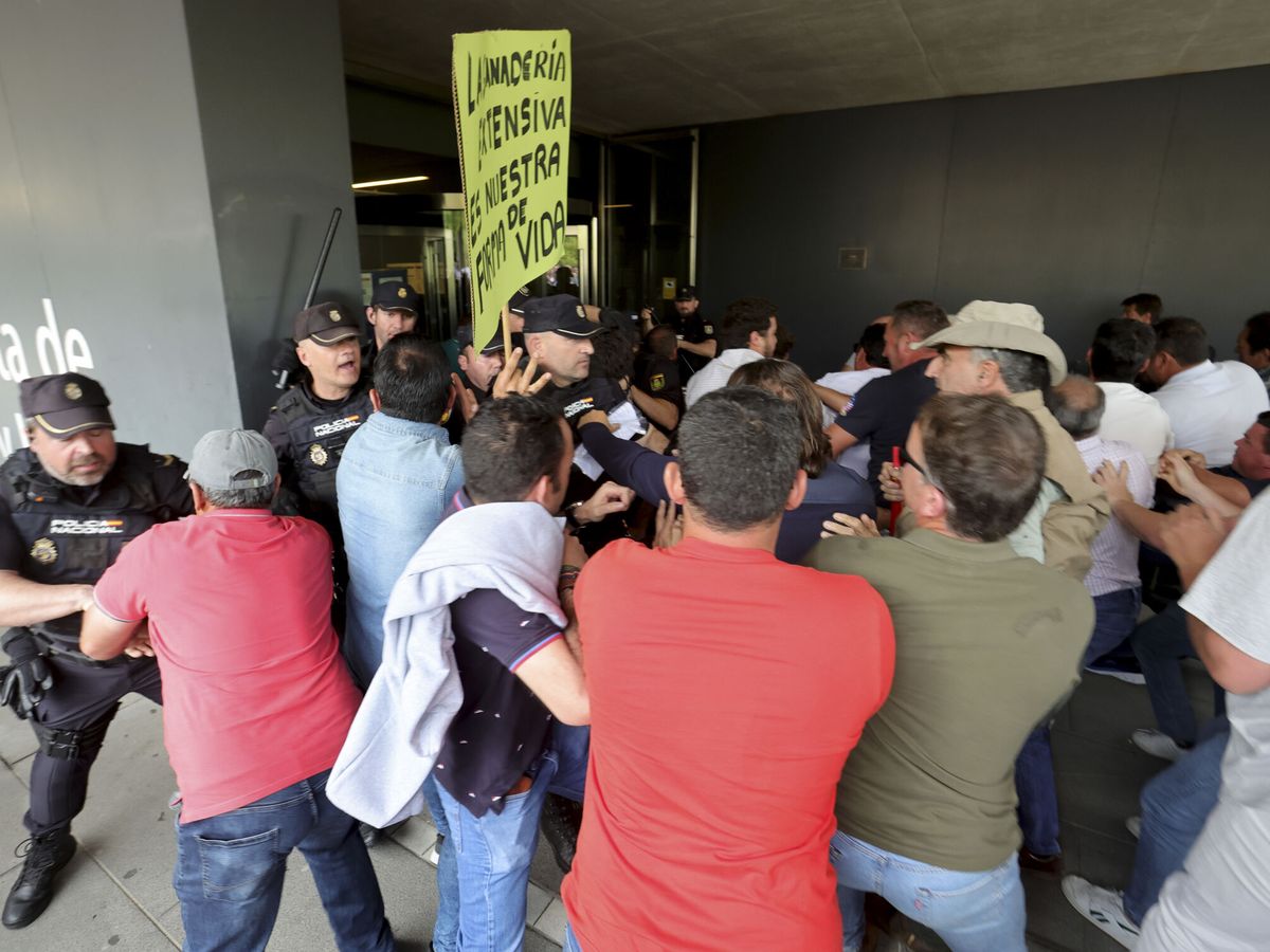 Foto: Protestas de ganaderos en Salamanca. (EFE/J. M. García)