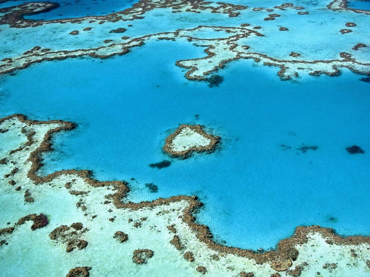 Foto: Imagen aérea de la gran Barrera de Coral en Australia. Unsplash