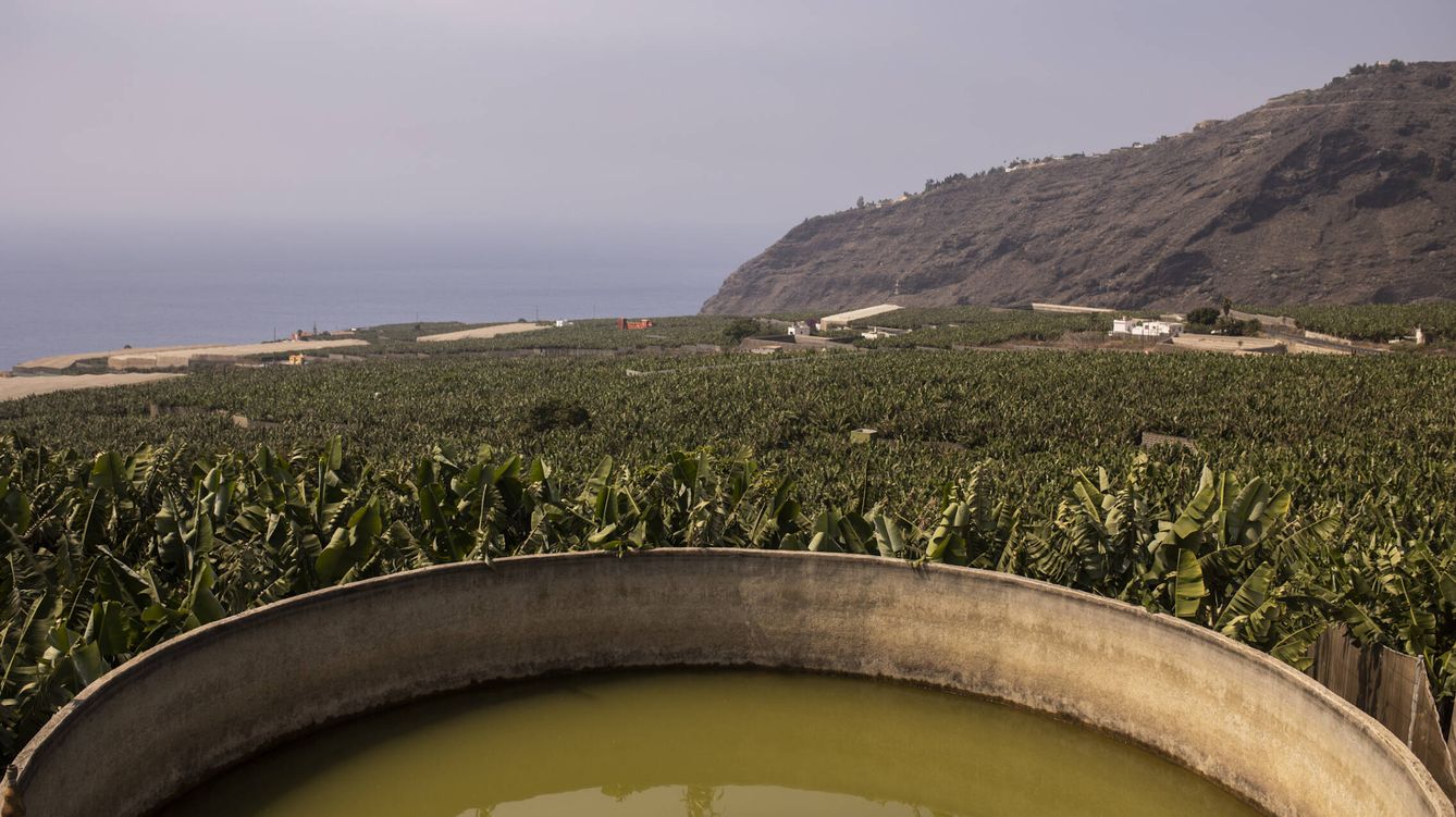 Foto: Un depósito en una plantación de plátanos en La Palma. (Alejandro Martínez Vélez)