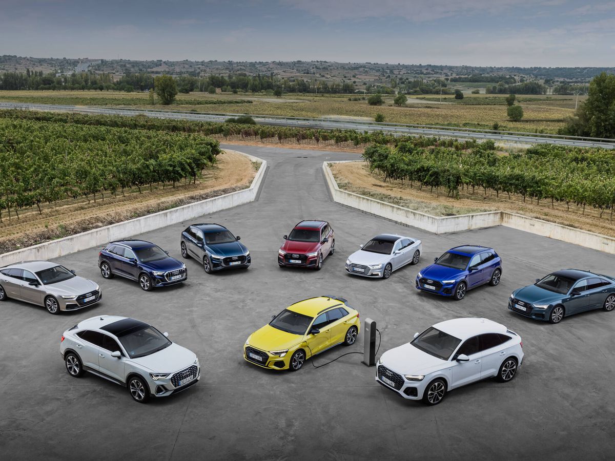 Foto: Compactos, berlinas, familiares, SUV de diferentes tallas... La gama TFSIe de Audi ofrece prácticamente de todo.