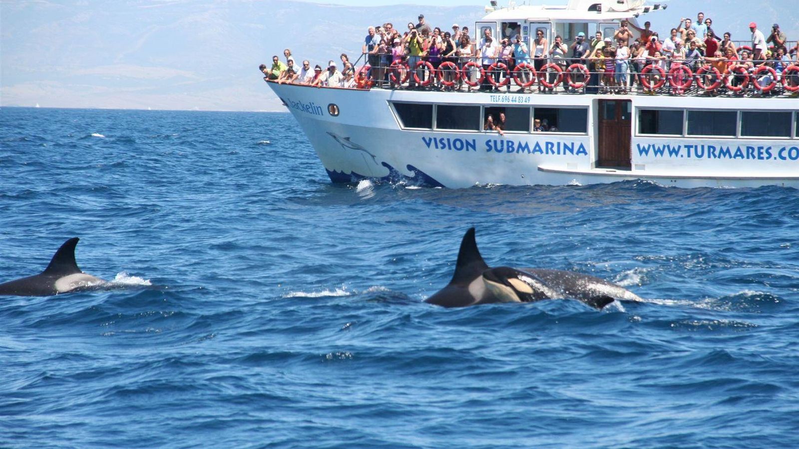 Foto: La observación de cetáceos es una de las actividades de turismo de naturaleza más demandadas