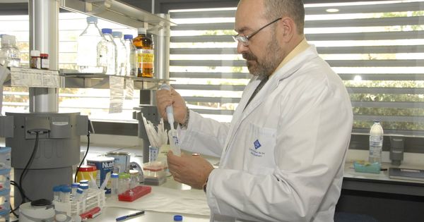Foto: Pablo Escribá, uno de los profesores de la Universidad de las Islas Baleares acusado de vender medicamentos falsos
