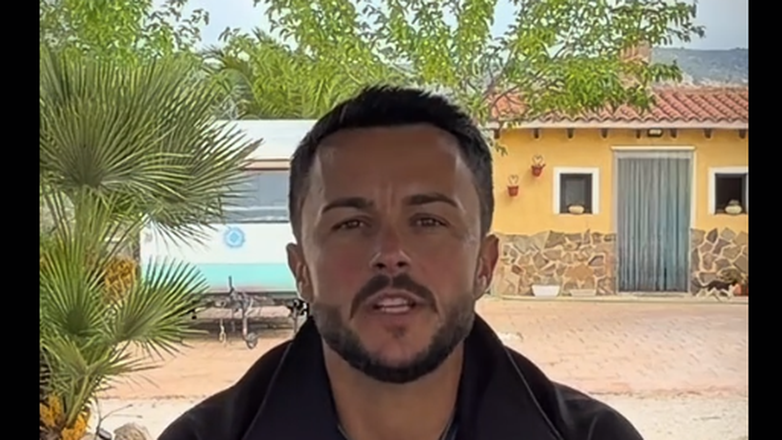 Tres árboles que jamás deberían plantarse cerca de una piscina: "Hoy parece una sombra bonita y mañana puede costarte miles de euros"