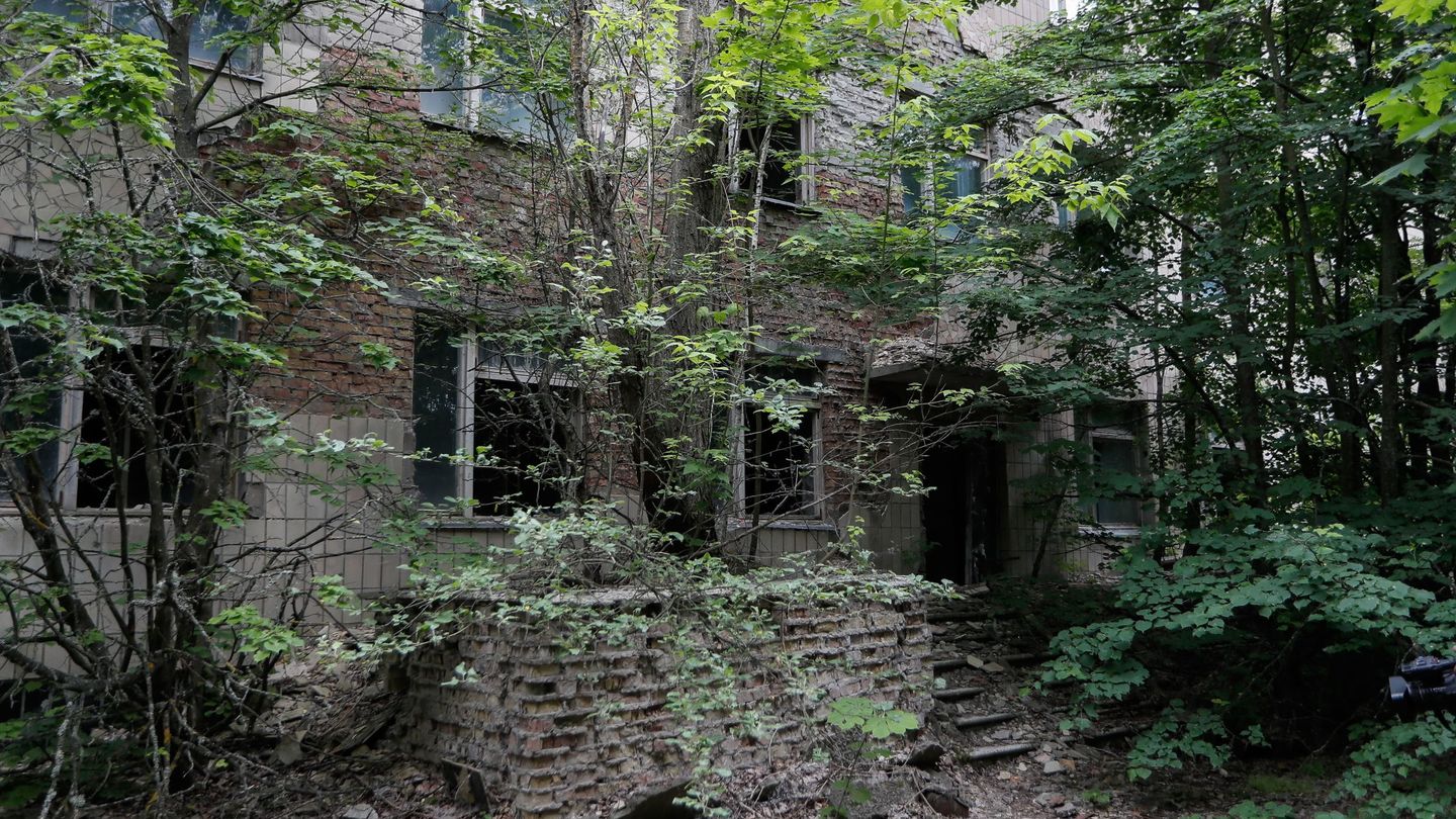 La naturaleza se ha adueñado de lugares abandonados como este hospital. (EFE) 