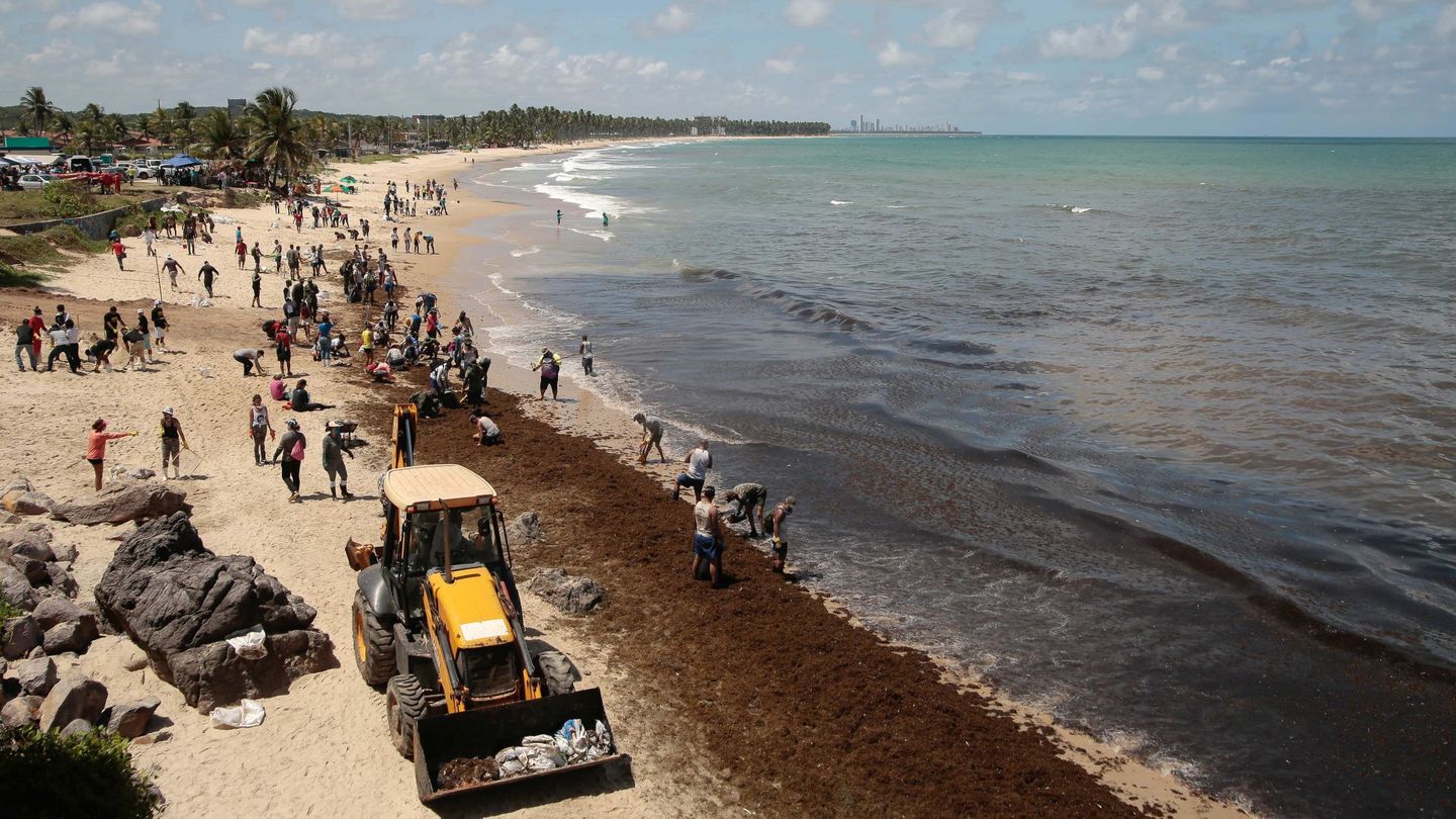 Vista panorámica que muestra a soldados del Ejército brasileño y voluntarios retirando el petroleo derramado en la playa de Itapuama este martes en el municipio de Cabo de Santo Agostinho en el estado de Pernambuco (Brasil). (EFE)
