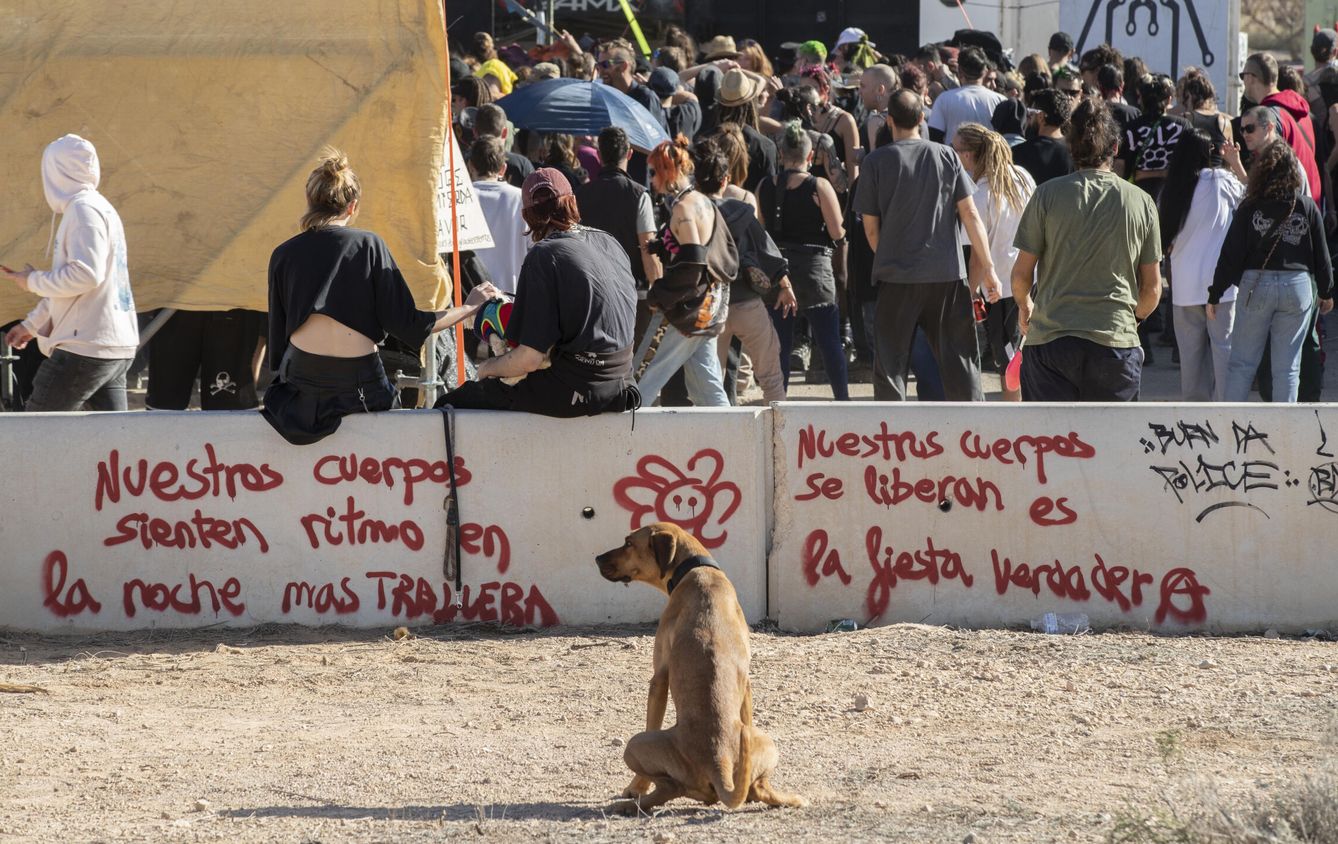 Un perro, en primer plano, mientras decenas de jóvenes se congregan en un escenario de la 'rave'. (EFE/Marcial Guillén)