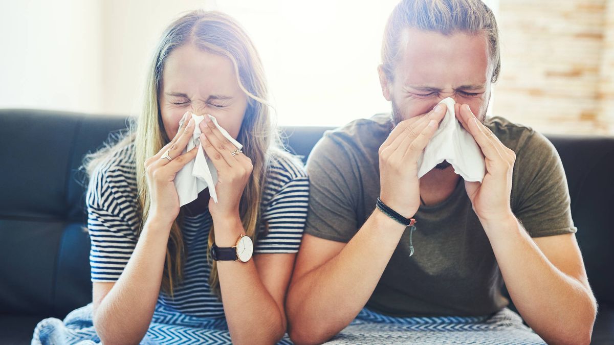 ¿Es posible contraer una gripe y un constipado a la vez? Responden los médicos