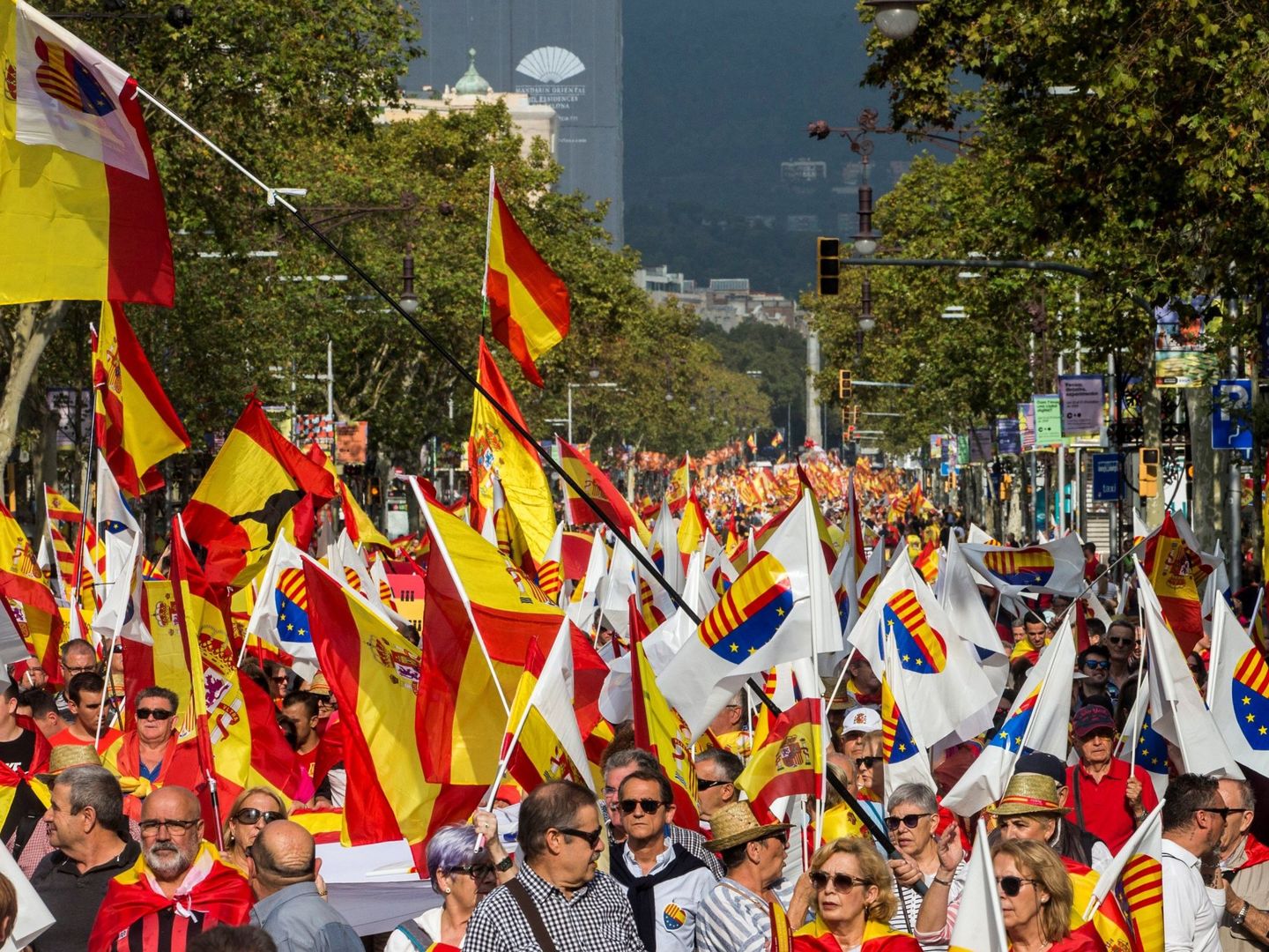 Miles de personas participan en el centro de Barcelona en una manifestación por la unidad de España. (EFE)