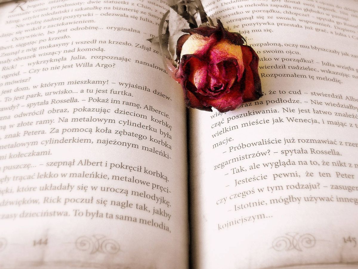 10 libros románticos que puedes leer estos días