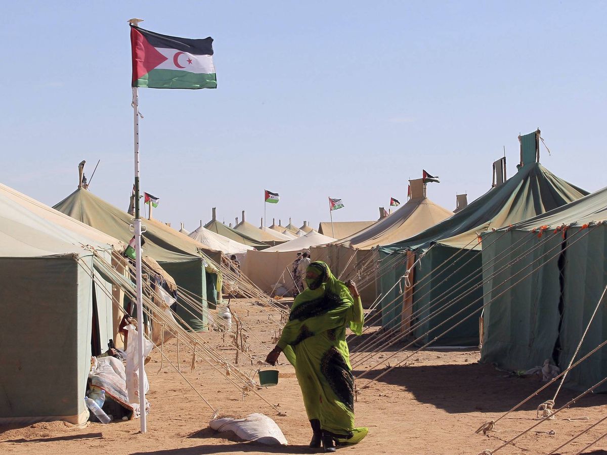 Foto: Campamento de refugiados saharauis (EFE)