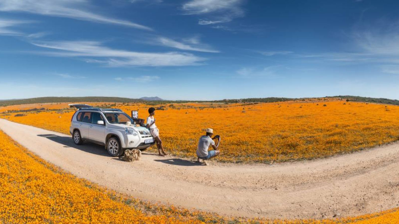 Foto: En Sudáfrica por estas fechas crecen flores en el desierto. (Turismo Sudáfrica)