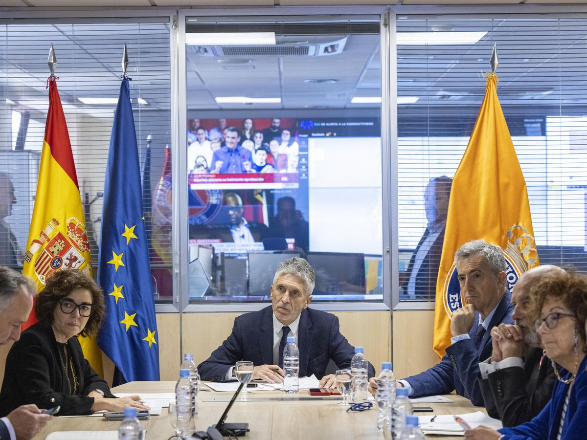 Foto: El ministro del Interior, Fernando Grande-Marlaska. (EFE/ Miguel J. Berrocal/Ministerio del Interior)