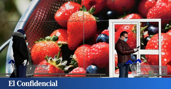 www.elconfidencial.com