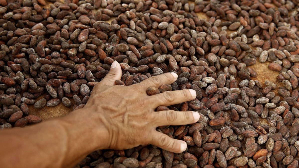 De las Perseidas al chocolate: cuando se puso a llover cacao en Suiza en pleno 2020