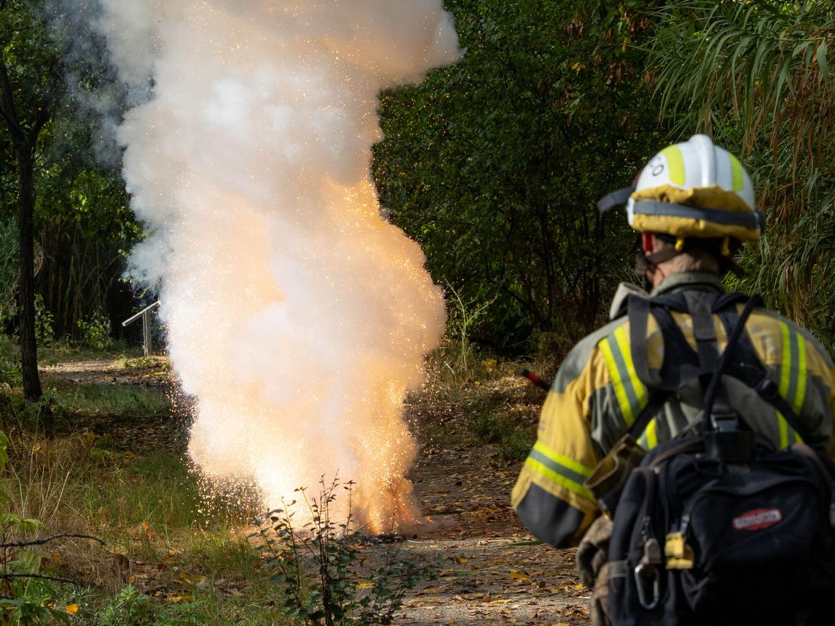 Foto: Un bombero forestal en un incendio. (EFE/Raquel Manzanares)