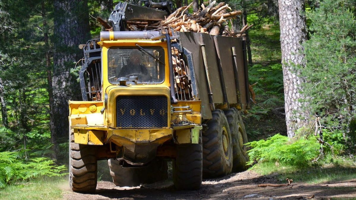 La mayor certificadora del mundo, PEFC, declara ilegal la madera de Rusia